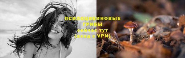 ALPHA PVP Алзамай