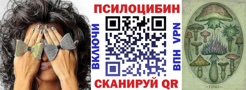 купить наркоту  Новоузенск  Галлюциногенные грибы MAGIC MUSHROOMS 